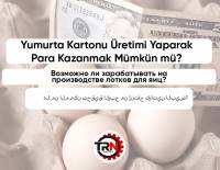 Можно ли заработать на производстве яичных картонов?