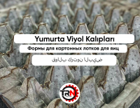 Формы для яичных картонок